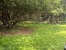 Beautiful small wood near