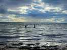 Wild swimming