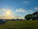 Great viewx