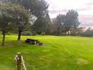 View of the grounds sitting at the pod