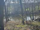 Fish lakes