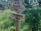 More signs to get to the pods.