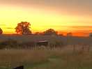 Evening sunset