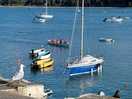 New quay