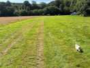 Field