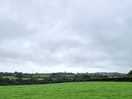 Across the field