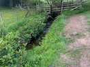 Lovely little stream