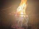 Campfires and bbqs are allowed!!
