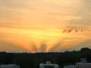 Longest day sunset