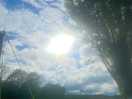 Sunny camp
