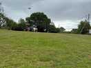 Quick kite fly before packing up!