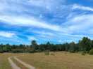Fields and woodland