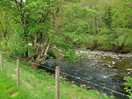 Lovely river runs by the field - was very low after 2 dry weeks.