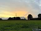 Field