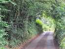 Beautiful lane