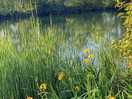 Fishing lakes