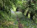 Walk from the cabin