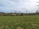 View from dog field