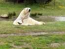 Wildlife park