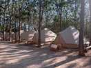 Tipis