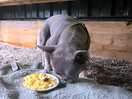 Breakfast at the crate