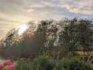 Sunset behind the trees