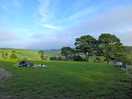 Photo from facilities, looking out on the campsite