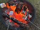 Campfire making s’mores!