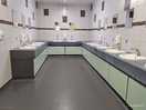 Ladies sinks area