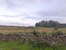 View from the back of a camping pod towards small woodland