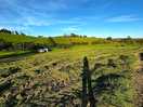 Les collines environnantes