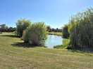 The small lake that we fished. no. 5 i think