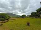 Just next to campsite