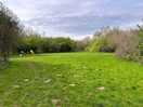 Wide open areas for play