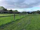 Horse fields
