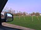 Well spaced pitches
