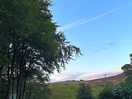 View at the accommodation