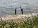 Tide in