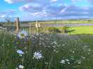 Along the footpath by the campsite