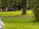 Campsite
