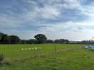 Overlooking fields