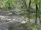 Beautiful river