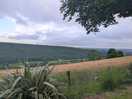 Views of the valley