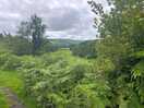 Great walks