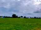 Top field