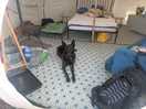 Bell tent inside