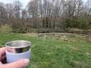 Morning brew