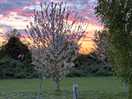 Lovely sunset