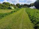 Tent pitches next to woodland