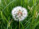 Wildlife and wildflowers in abundance.